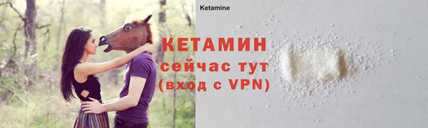 гашик Карпинск