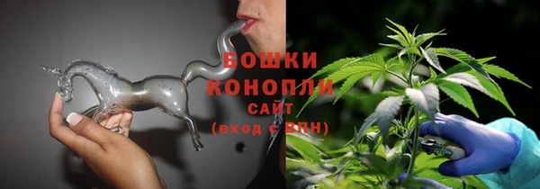 гашик Карпинск