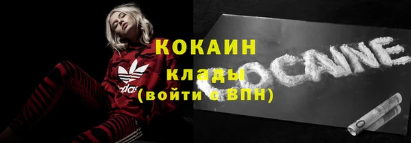 гашик Карпинск