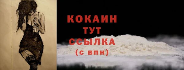 гашик Карпинск