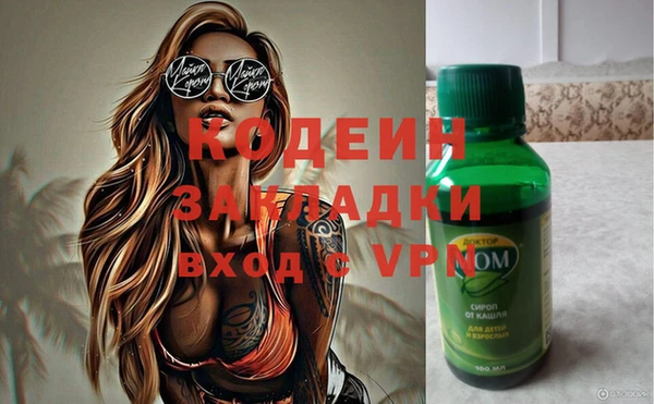 гашик Карпинск