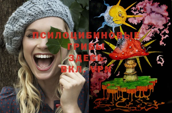 гашик Карпинск