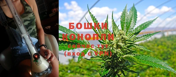 гашик Карпинск