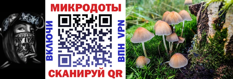 Купить  Барабинск  Псилоцибиновые грибы Psilocybine cubensis 